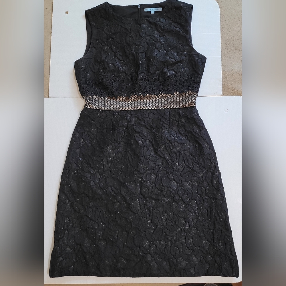 Antonio Melani Edna Black Lace Sleeveless A-line Zip Back Dress Size-8
